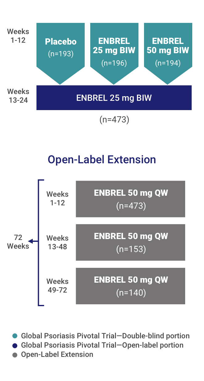 Global ENBREL Psoriasis Pivotal Trial Study Design