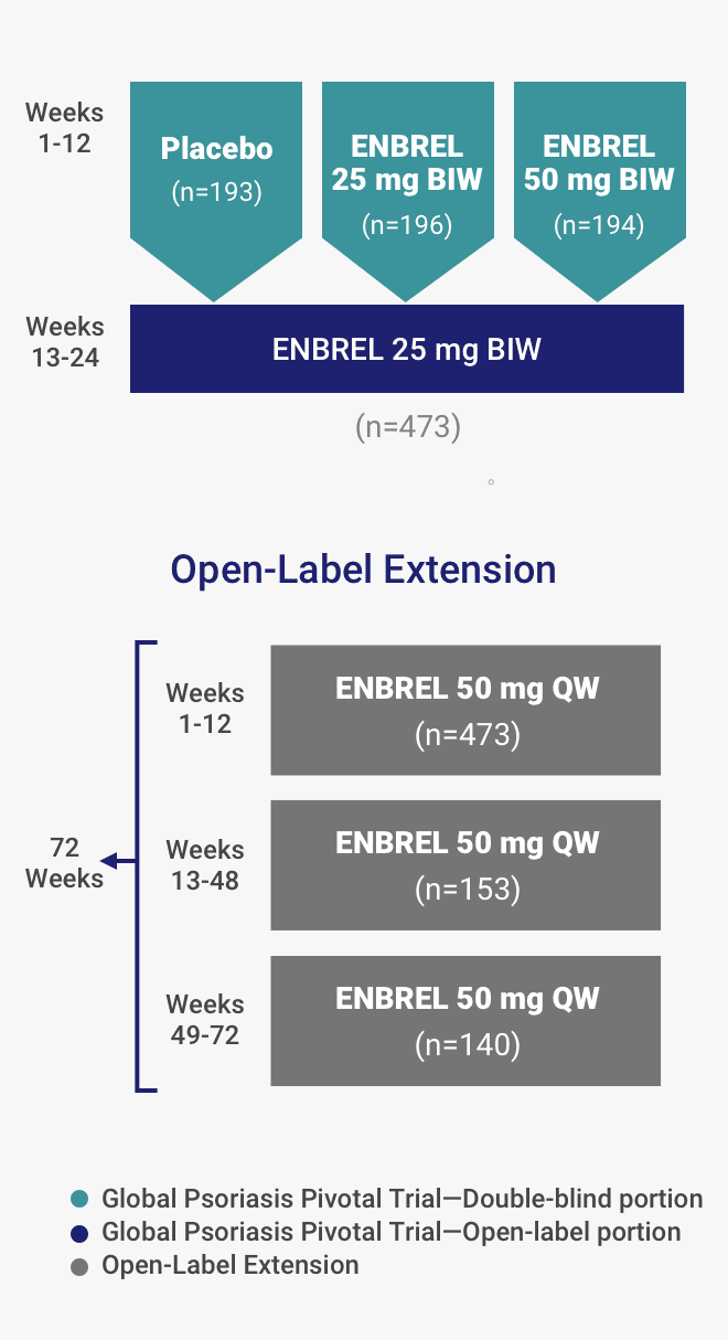 Global ENBREL Psoriasis Pivotal Trial Study Design chart